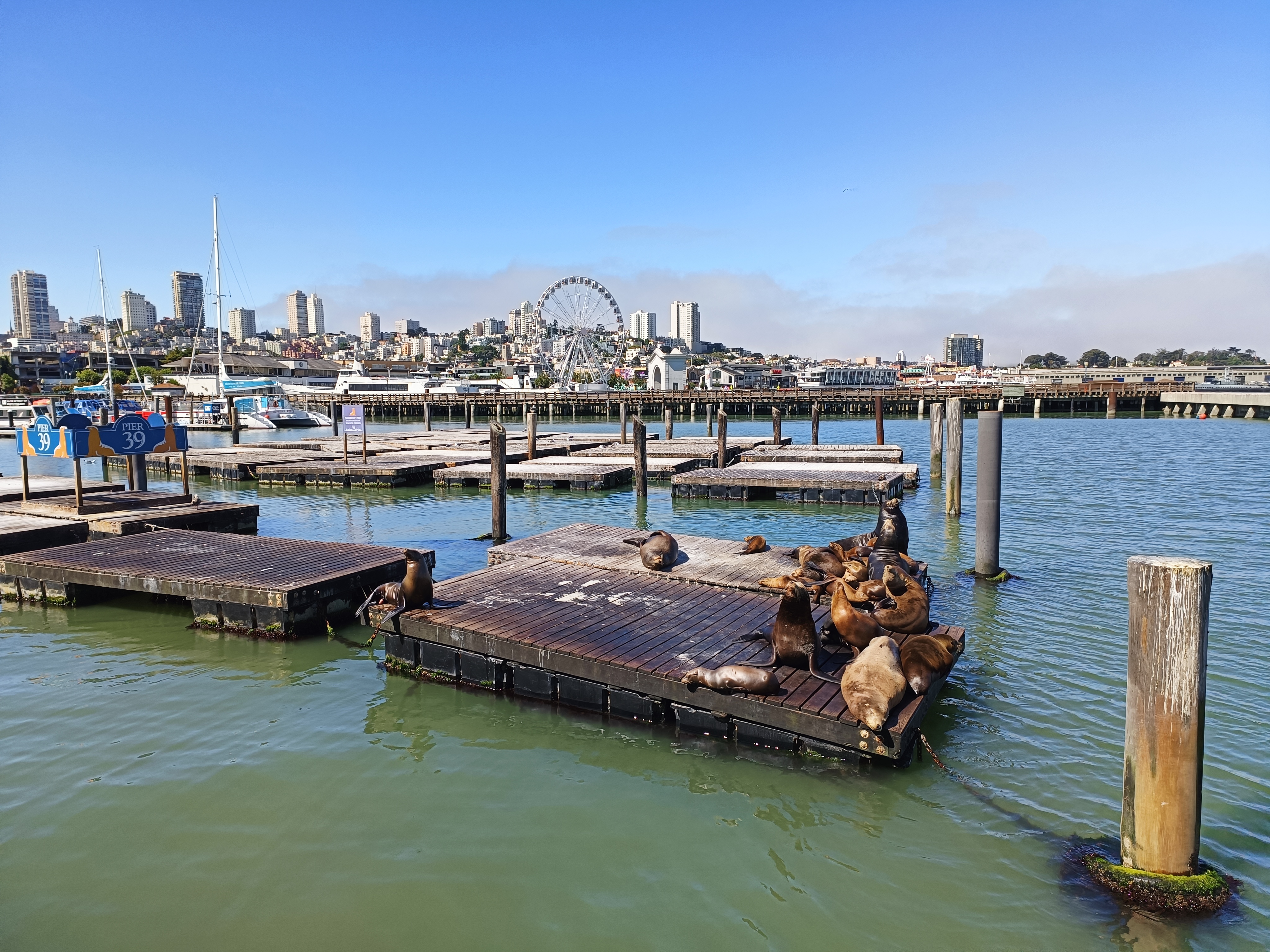 San Francisco - Pier 39